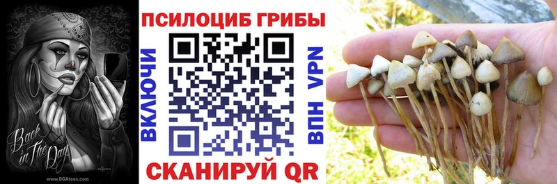Галлюциногенные грибы Cubensis  Славск 